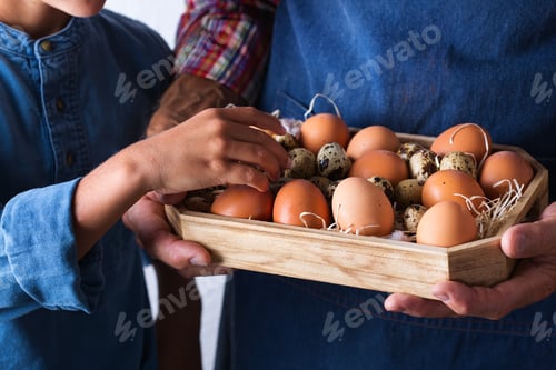 Preview: Senior farmer man holding in hands fresh organic eggs