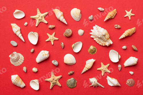 Preview: Summer time concept Flat lay composition with beautiful starfish and sea shells
