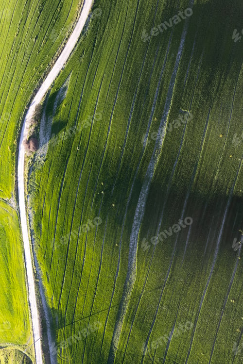 Preview: Aerial view of a cultivated field in spring