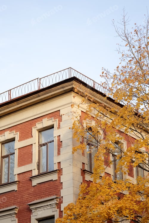 Preview: facade of historic building is tree with autumn yellow leaves. brick house historical architecture.