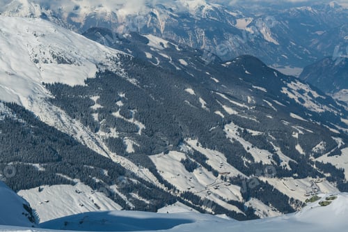 Preview: Fir trees in snow mountain in Austria