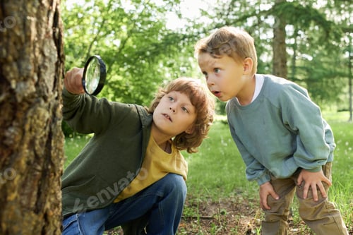 Preview: Two Boys Using Magnifying Glass and Looking at Bugs Exploring Nature