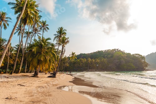 Preview: Beach and coconut trees with beautiful morning view on the island
