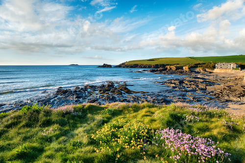 Preview: Summer at Trevone in Cornwall