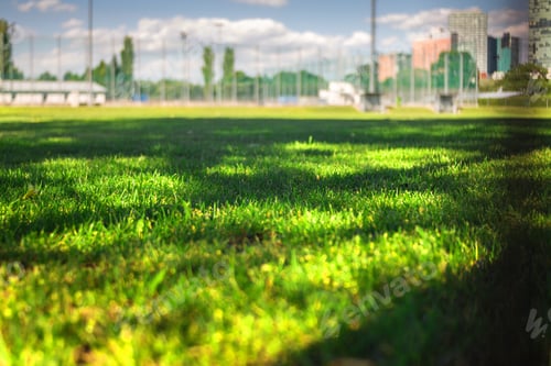 Preview: Low angle of soccer field lawn