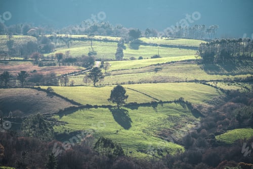 Preview: Backlit trees and walls on green pastures