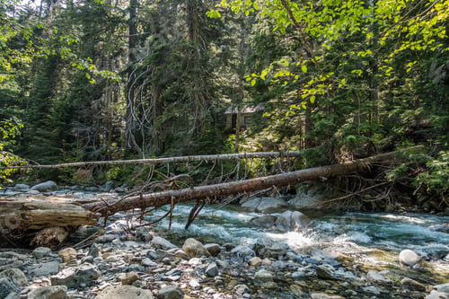 Preview: A Cabin Blends In With The Surrounding Forest Along Denny Creek In Washington State.