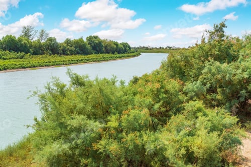 Preview: River bed with green trees along the bank