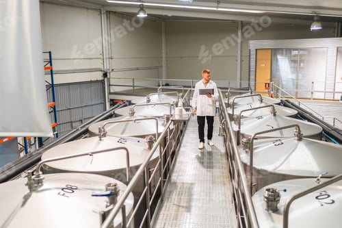 Preview: Man analyzing production data in beer brewery factory
