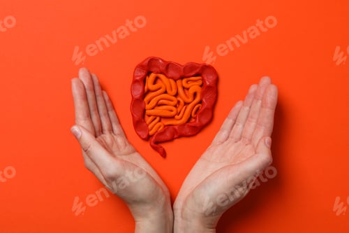 Preview: Concept of health care, stomach and intestinal problems