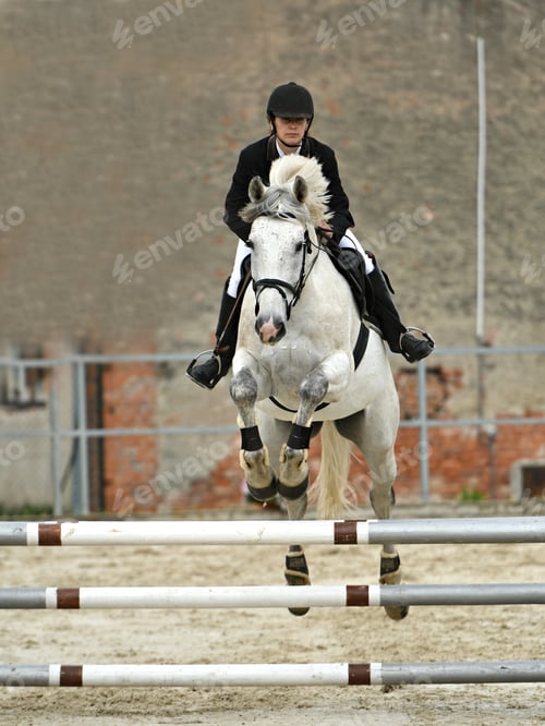 Preview: Horse Jumping