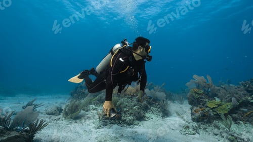 Preview: dive instructor guiding underwater in mexico