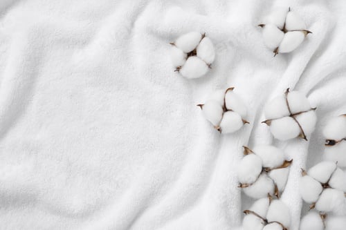 Preview: Cotton flowers on a white terry towel with copy space.