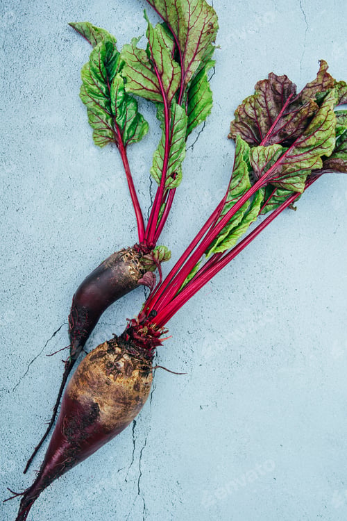 Preview: Freshly harvested whole raw organic farmer beetroot with green leaves