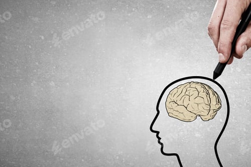 Preview: Close Up Of Male Hand Drawing Human Brain