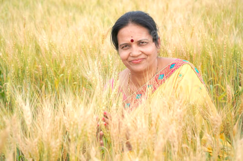 Preview: Beautiful young Indian woman wear in saree at the wheat field