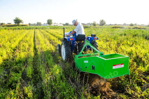 Preview: Kherson oblast, Ukraine - September 14, 2020: A farmer on a tractor digging out potato.