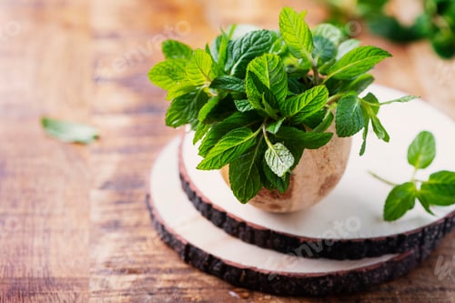 Preview: Fresh green mint leaves