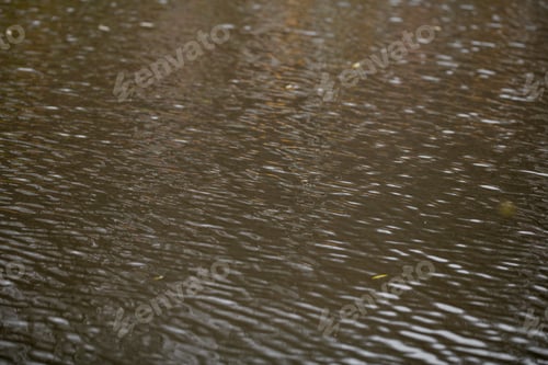 Preview: Close up of cold water in lake with soft waves at fall season