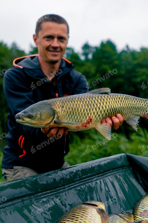 Preview: satisfied professional fisherman holding a carp on the bank of a river fishing in a pond with good c