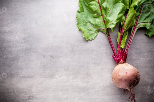 Preview: Beet harvest.