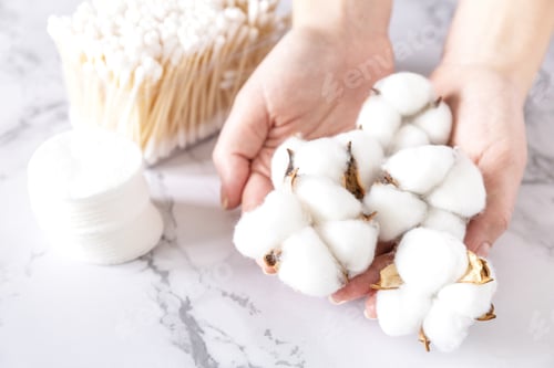 Preview: Cotton buds, cotton pads and cotton flower in hands a marble background.