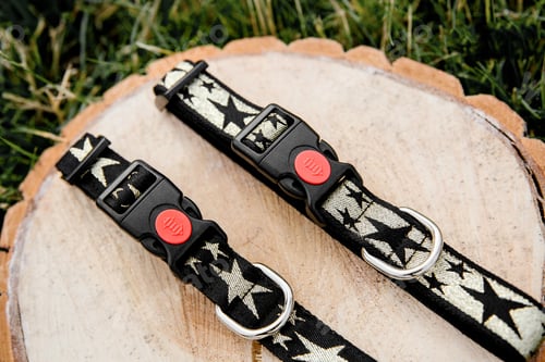 Preview: Dog Collar and Leash set. Pet Supplies and Walking Gear Collection