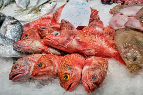 Preview: Red scorpionfish and other fish for sale