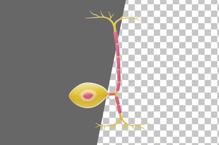 Preview: Unipolar Neuron 3D Icon