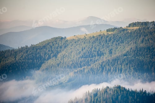 Preview: Foggy mountain range. Morning with fog over mountain slopes, covered with spruce forest.