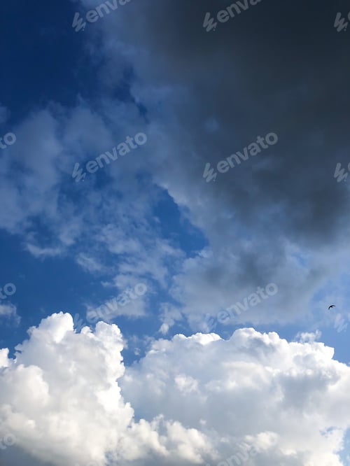 Preview: The background of the clouds of the sky. Bird flight.