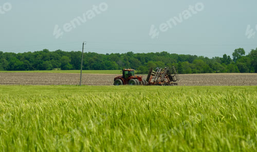 Preview: Soft wheat field on a windy day and a tractor pulling a disc harrow to another field