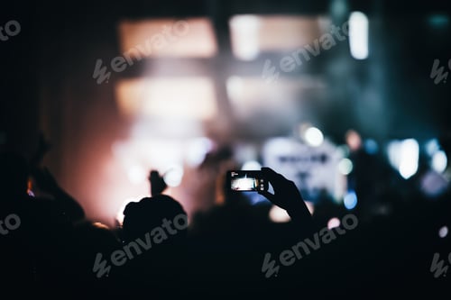 Preview: Cheering crowd at concert enjoying music performance