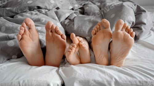 Preview: Closeup of family bare feet lying together on bed under blanket