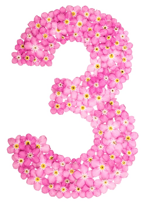 Preview: Arabic numeral 3, three, from pink forget-me-not flowers, isolated on white background