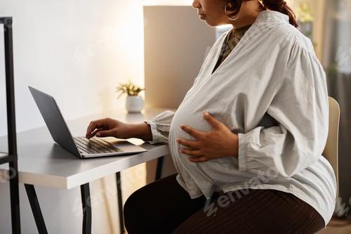 Preview: Pregnant Woman Working from Home
