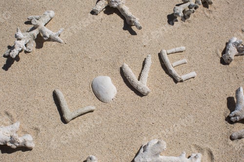 Preview: word Love from corals on sand of tropical beach