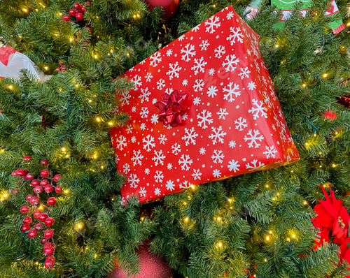 Preview: Christmas Present