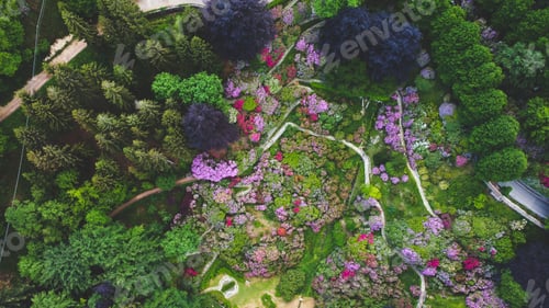 Preview: Colorful landscape.