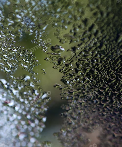 Preview: Water drops on a glass