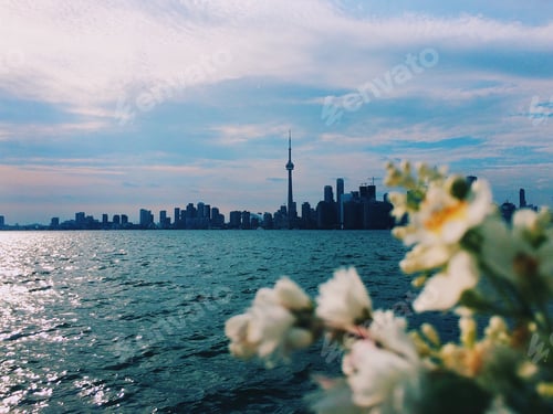 Preview: Toronto