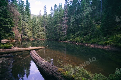 Preview: mountain lake arshytsya