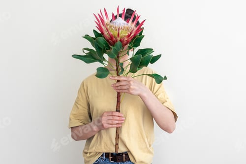 Preview: A young woman with protea flower on a white background.