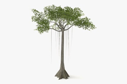 Preview: Kapok Tree: Low Poly Tropical Rainforest