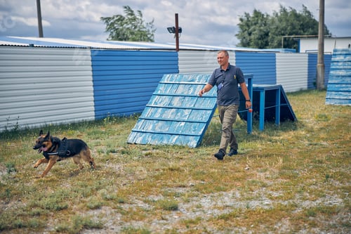 Preview: Male handler training German Shepherd dog on playground