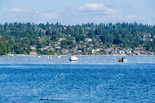 Preview: Boats Are Anchored Near The Shore In Burien, Washington.