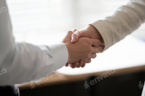 Preview: Asian business person of men and women shaking hands