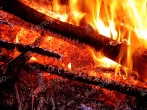Preview: firewood