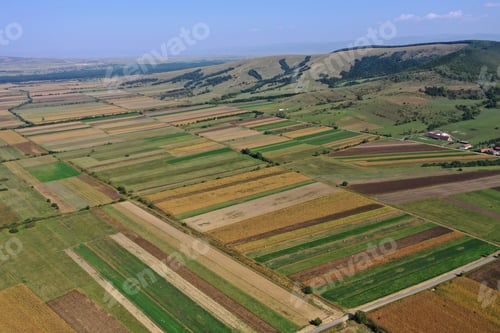 Preview: Aerial View of Agricultural Fields by Drone