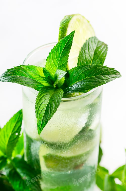 Vorschau: Mojito-Cocktail